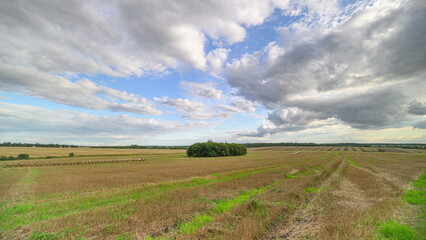 Fototapeta premium A Beautiful Scenic Agricultural Landscape Featuring Dramatic and Captivating Clouds