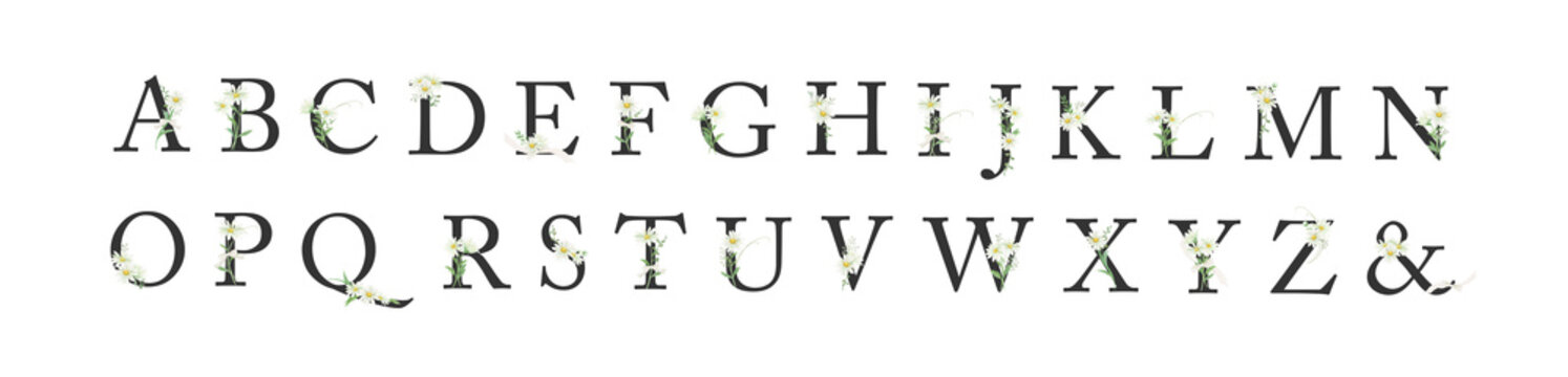 Elegant watercolor daisy and marguerite alphabet monogram and ampersand set, black uppercase letters with floral accents-300dpi-The font is Adobe Caslon Pro.