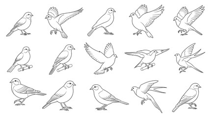 Fototapeta premium Artistic Outlines of Diverse Bird Poses: A Vector Collection for Designs, Coloring Pages, and Educational Resources, Showcasing Avian Anatomy and Graceful Movement in Line Art Style