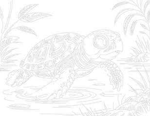 Fototapeta premium Turtle walking in water vector illustration