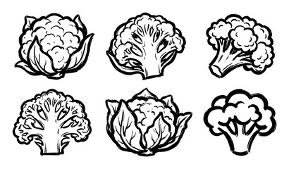 Cauliflower and broccoli vegetable illustrations set hand-drawn in a black ink brush stroke style showing whole heads, halves, and florets for healthy eating concepts