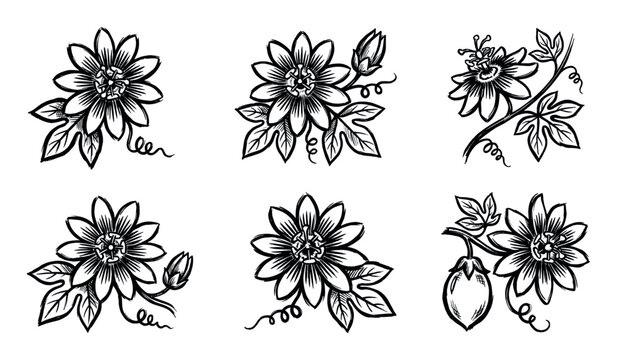 Set of six hand-drawn passion flower illustrations in a black and white sketch style, showing the exotic passiflora bloom, bud, leaves, vine, and fruit for botanical design