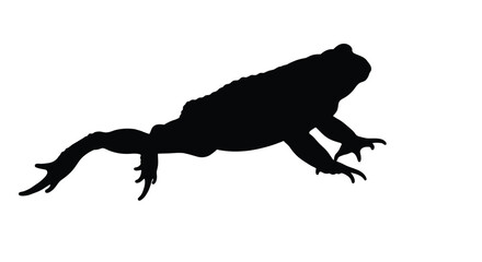 Obraz premium Silhouette of a leaping frog against a plain white background