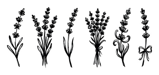 Fototapeta premium Set of six black ink lavender flower illustrations in a hand-drawn brush stroke style, showing single stems, rustic bouquets, and sprigs with bows for a minimalist design