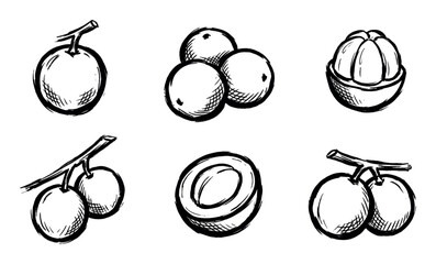 Collection of hand-drawn fruit icons featuring various whole, sliced, and clustered fruits in a black and white ink sketch style with rough textures and bold outlines
