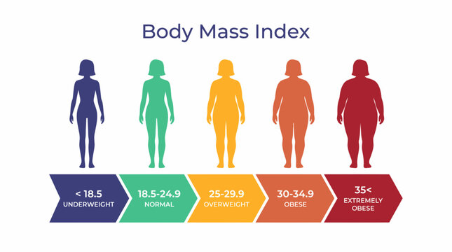 Body mass index infographic showing female silhouettes with weight scale from underweight to extremely obese, concept for medical employee wellness, nutrition education and fitness tracking