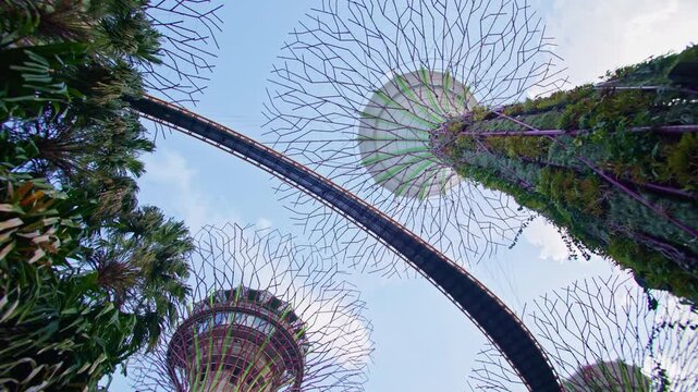 Beautiful cityscape of Singapore at Gardens by the Bay with futuristic buildings green park scenery and famous tourist attractions in Asia