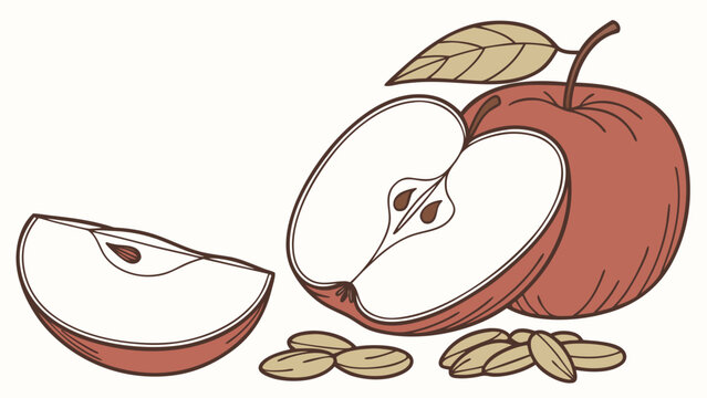 Fresh Red Apple with Slices and Seeds.