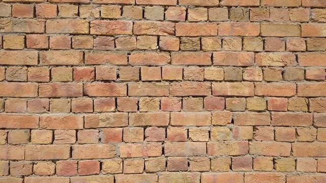 Red Brick Wall with Visible Mortar Lines Showcasing Durable Construction and Rustic Charm for Architectural Designs 4k video