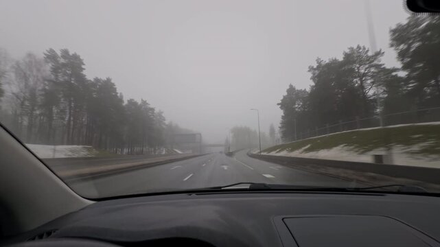 Desolate road through pine woods. Misty highway with peaceful winter scenery. Solitary route bordered by foggy pines during winter