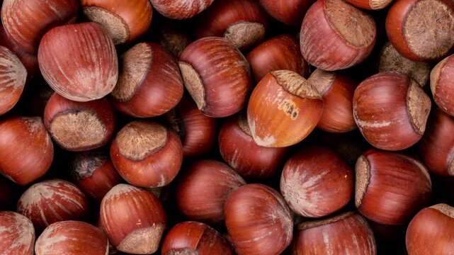 Macro rotating view of raw hazelnuts filling the frame, showcasing rich brown shells and natural textures. Perfect for concepts of healthy food, organic ingredients, nutrition, agriculture, harvest.