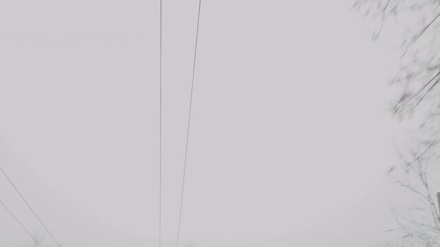 Frozen trees with geometric cables in foggy silence. Winter landscape with stark branches and distant wires creating abstract patterns