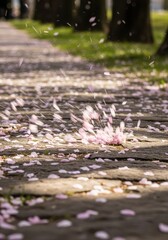 Fototapeta premium Delicate pink flower petals scatter and settle across a stone pathway lined with trees.