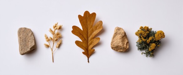 Naklejka premium Stylish oak leaf dried wheat stalk and rugged beige stone cluster for minimalist green design