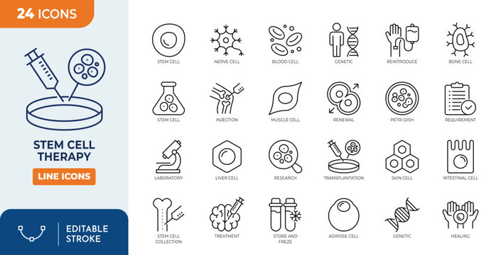 Stem Cell Therapy icon set. Outline icons set. Editable stroke. Vector illustration