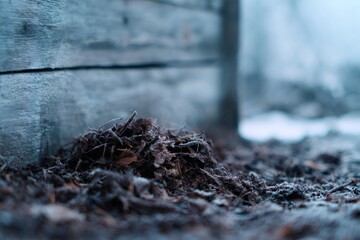 Obraz premium Steaming compost pile covered in frost on a cold winter day. Close-up of frozen organic mulch against a rustic wooden fence. Natural decomposition process