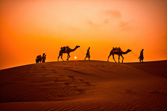 Camel caravan crossing desert dunes at fiery sunset.Thar desert on sunset Jaisalmer,Rajasthan, India
