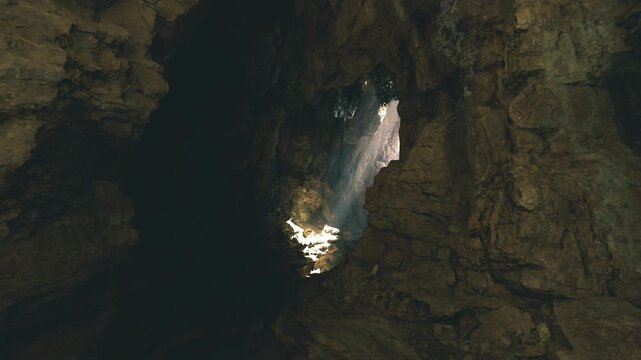 Hang son doong textured limestone amphitheater highlights rugged rock faces, layered erosion patterns, subdued light gradients and small sunlit plant pocket,