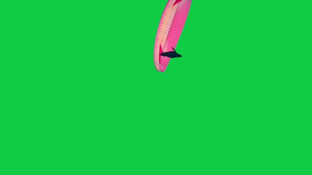 Birds sitting on a branch, electric wire and flying Real natural birds Green Screen Chroma Key Alpha Channel. UHD Video