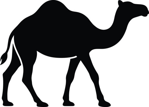Black silhouette of a camel walking in profile view