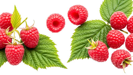 Ripe Raspberries With Green Leaves On White Background