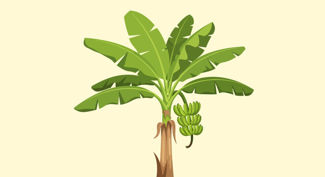 A vibrant illustration of a banana tree with a bunch of green bananas hanging from its stalk, set against a plain, light-colored background.