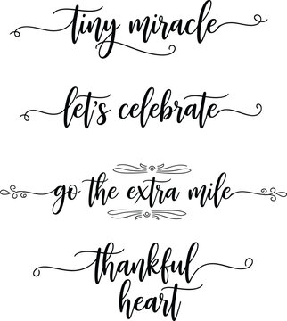 Elegant calligraphy phrases on a white background for inspirational quotes.