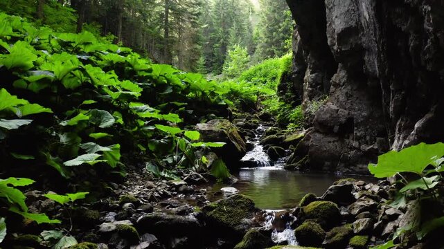 A tranquil forest stream flows through vibrant green foliage and moss-covered rocks creating a peaceful natural scene vibrant colors rich detail captivating scenes