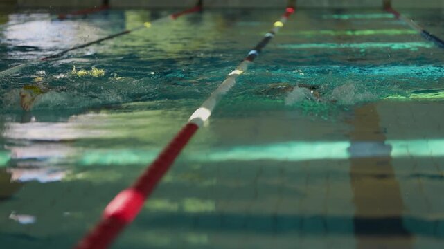 Professional backstroke swimmer training in swimming pool