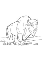 Obraz premium American bison standing in a field with grass and hills in the background vector illustration