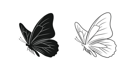 Two butterflies in contrasting styles one dark one light © Hasina