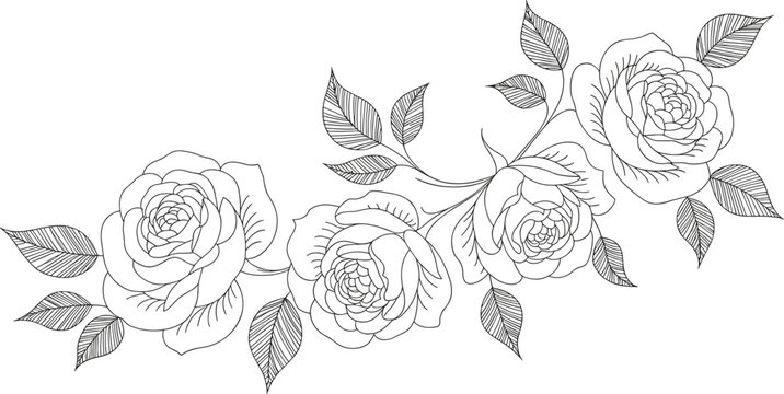 Hand drawn floral wreath and botanical rose flower vector collection for wedding invitations coloring pages decorative frames and romantic garden designs,