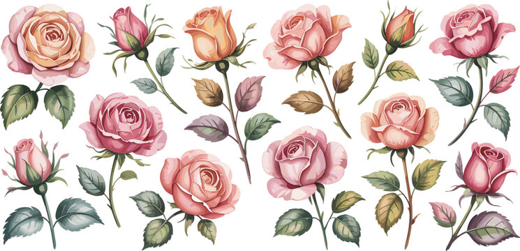 Hand drawn rose flower wreath bouquet and colorful botanical element vector collection for wedding invitations coloring pages and decorative designs,