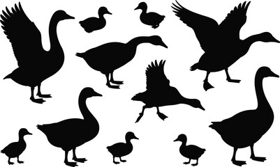 Collection of black silhouettes of geese and ducklings in various poses on a white background goose © Hey world