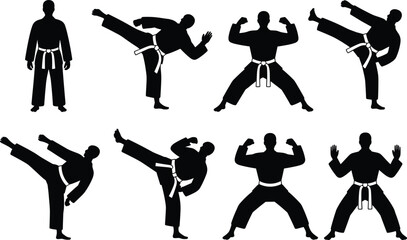 Collection of Martial Arts Silhouettes Demonstrating Kicks and Stances on White Background karate taekwondo © Hey world