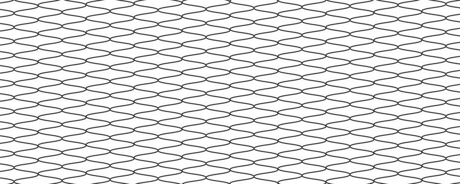 Black snake skin pattern isolated on white background  modern illustration eps 10