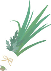 端午の節句の軒菖蒲（菖蒲と蓬）フラットなベクターイラスト 日本の伝統行事素材　Shobu and Mugwort Bundle for Tango no Sekku, Flat Vector Illustration © HIROTA Azusa