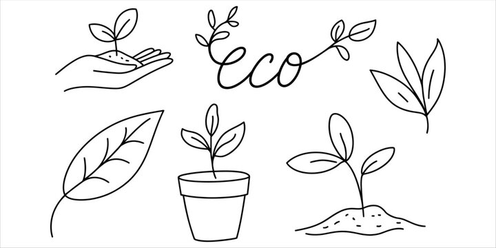 Eco friendly plant illustrations set for sustainable living.