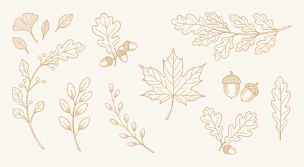 Whimsical hand drawn autumn leaves and acorns vector illustration © Stock4line