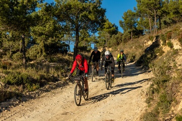 Fototapeta premium Four friends enjoying a challenging gravel bike ride on a dirt track, exploring the rugged terrain and natural beauty of a sunny day in the spanish mountains - stock photo