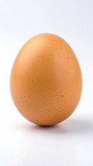 Single brown egg, light background
