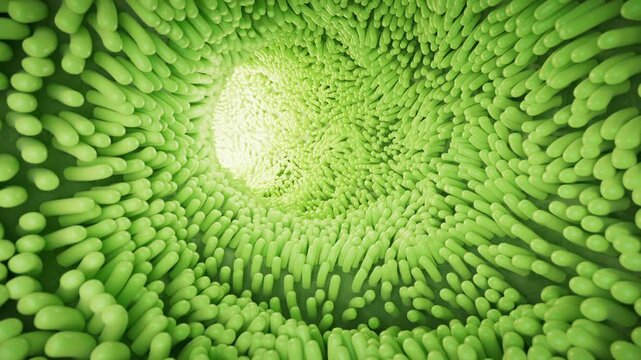 Abstract green round tunnel with villus details, 3d rendering.