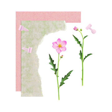 Pink wildflowers with green stems and leaves on a torn paper background aesthetic