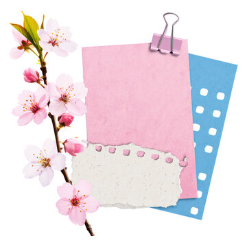 Pink cherry blossoms with paper and clipboard on white background pink flowers