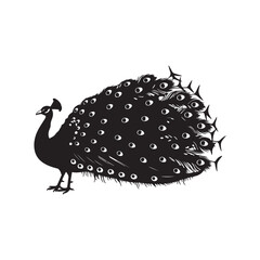 Fototapeta premium Black Peacock silhouette vector illustration