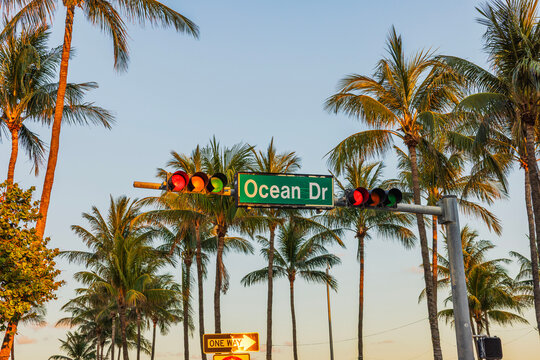 Close up view of Ocean Drive street sign and traffic lights framed by tall palm trees in Miami Beach.