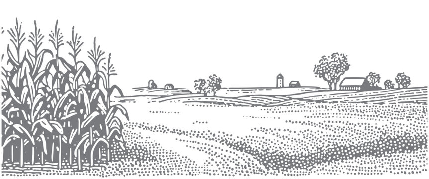 Vintage illustration of a farm landscape with cornfields and rolling hills.