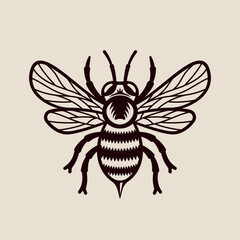 Obraz premium Vintage style honey bee vector illustration with detailed engraving lines. Classic black insect design on light background, perfect for beekeeping, honey branding, organic products, agriculture themes