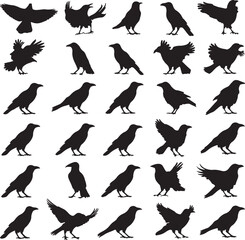 Obraz premium Collection of eighteen distinctive black crow and raven silhouettes vector illustration