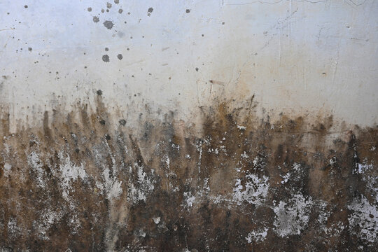 Moldy wall with brown stains and white spots